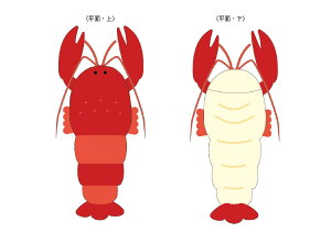 IWi@}[ChuPbguX^[@Ђ|@G|@Ђ@}bg@uPbg@ѕz@~@Q@G݁@ObY@킢