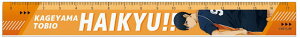 yz@Zbgi@5{@nCL[II@X17cmKeRY@܂Ƃт@o[{[@Aj@@@@K@̂@[@wZ@׋@G