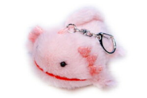 IWi@CU@ۂ܂ʂ݃L[`F[E[p[[p[@C̐@L[z_[@L[O@`[@@}XRbg@l`@h[@G݁@ObY@킢