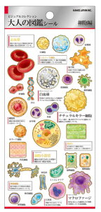 {@l̐}Ӂ@V[זE@ĺ@rWARNV@XebJ[@~j@v`@[@G݁@ObY@킢