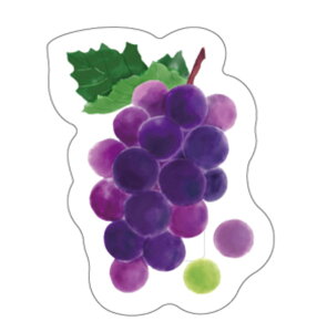 yz@y5Zbgz@Zbg@Zbgi@IWi@ANNbvO[v@Ԃǂ@t[c@Nbv@߁@[@wZ@׋@G݁@ObY@킢