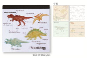 【5個セット】 【セット】 【セット商品】 オリジナル メモパッド・スクエア古生物学 STUDY HOLIC メモ帳 文房具 雑貨 グッズ かわいい