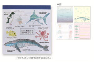 y5Zbgz@yZbgz@yZbgiz@IWi@pbhEXNGACmw@STUDY HOLIC@@[@G݁@ObY@킢