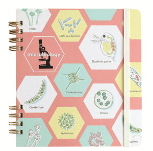 IWi@Om[gEXNGAw@STUDY HOLIC@m[g@[@wZ@׋@G݁@ObY@킢