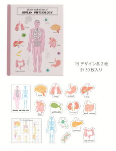 yz@y5Zbgz@yZbgz@yZbgiz@IWi@}ӌ^P[Xtt[NV[lސw@STUDY HOLIC@V[@XebJ[@[@G݁@ObY@킢