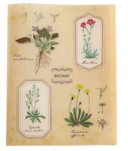 IWi@A4NAubNt@CAw@STUDY HOLIC@P[X@Jo[@t@C@[@[@wZ@׋@G݁@ObY@킢