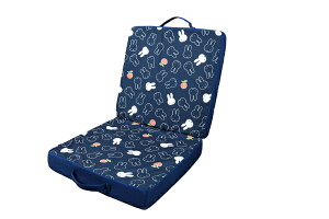 miffy@~btB[@2waytANbV낱񂲁@ETM@fBbNEu[i@G{@Aj@NbV@֎q@CeA@G݁@ObY@킢