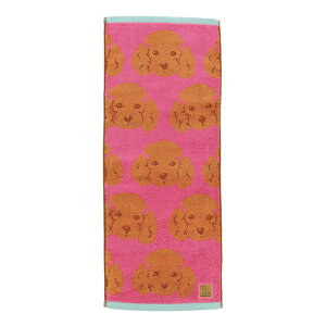 IWi@XLj[^IgCv[h@uACY@_ts[X@@@Aj}@tFCX^I@@C@v[@C@AEghA@G݁@ObY@킢