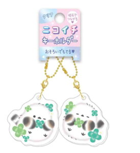 IWi@NAjRC`L[z_[킽̂Ƃ@V}GiK@@Aj}@L[z_[@L[O@`[@@yA@@FB@tY@G݁@ObY@