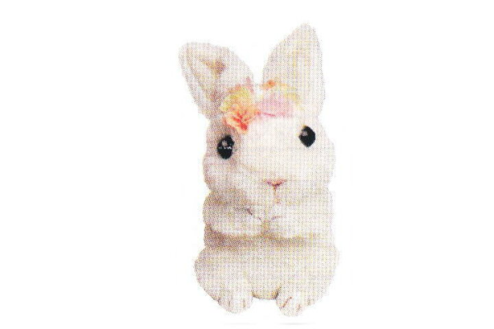 楽天市場 ぬいぐるみ うさぎのフルール花冠 ホワイト たっちs うさぎ アニマル 動物 ウサギ グッズ ソフトトイ マスコット おもちゃ インテリア ａｏｉデパート