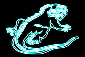 lI@Ƀj@NR_C@Aj}@@lICg@d@LED@Cg@TC@neon@Ŕ@C~l[V@CeA@X܁@lITC@AJG݁@