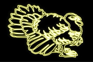 lI@Rh@킵@h@@g@@Ƃ@Aj}@@lICg@d@LED@Cg@TC@neon@Ŕ@C~l[V@CeA@X܁@lITC@A