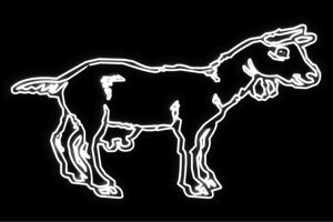 lI@€M@Goat@SEg@Aj}@@lICg@d@LED@Cg@TC@neon@Ŕ@C~l[V@CeA@X܁@lITC@AJG݁@