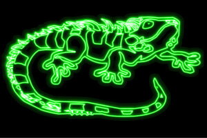 lI@JI߂ꂨ@COAi@ȁ@Aj}@@lICg@d@LED@Cg@TC@neon@Ŕ@C~l[V@CeA@X܁@lITC@A