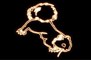 lI@肷X@Aj}@@lICg@d@LED@Cg@TC@neon@Ŕ@C~l[V@CeA@X܁@lITC@AJG݁@