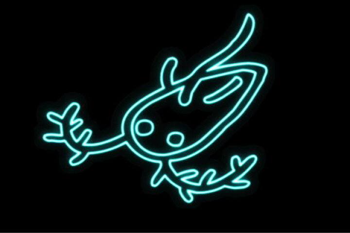 楽天市場 ネオン 微生物 生物 生き物 イラスト ネオンライト 電飾 Led ライト サイン Neon 看板 イルミネーション インテリア 店舗 ネオンサイン アメリカン雑貨 おしゃれ ａｏｉデパート