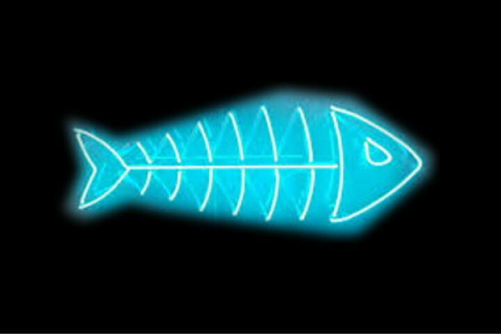 楽天市場】ネオン フィッシュボーンFish bone 魚 さかな 海 骨 BAR 