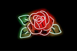 lI@΂o@KN@ԁ@͂ȁ@ԁ@CXg@lICg@d@LED@Cg@TC@neon@Ŕ@C~l[V@CeA@X܁@lITC@AJG݁@