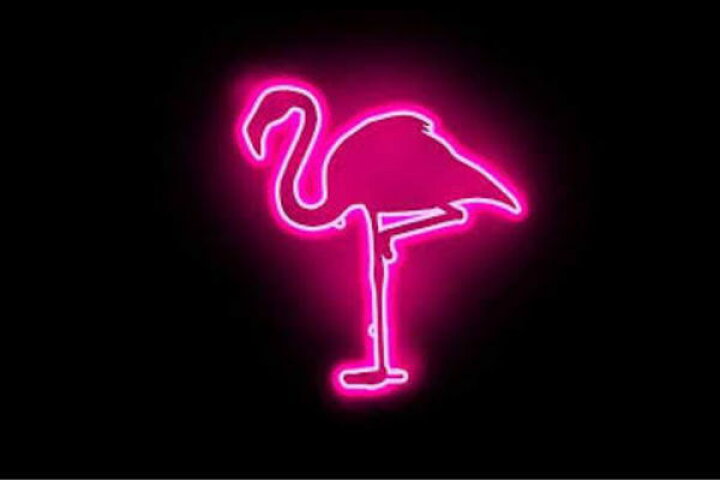 楽天市場 ネオン Flamingo フラミンゴ ふらみんご 鳥 とり トリ 動物 アニマル ネオン ライト 電飾 Led ライト サイン Neon 看板 イルミネーション インテリア 店舗 ネオンサイン アメリカン雑貨 おしゃれ