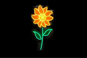 lI@Ђ܂q}@@sunflower@Tt[@ԁ@͂ȁ@ԁ@CXg@lICg@d@LED@Cg@TC@neon@Ŕ@C~l[V@CeA@X܁@l