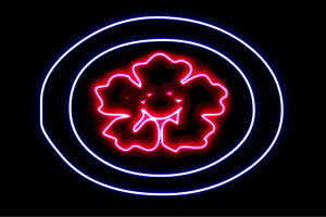 lI@@TN@ԁ@͂ȁ@ni@t[@FLOWER@lICg@d@LED@Cg@TC@neon@Ŕ@C~l[V@CeA@X܁@lITC@AJG