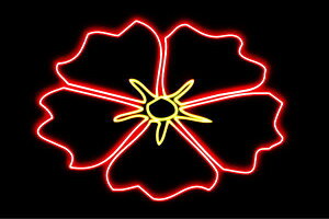 lI@nCrXJXnCr@ԁ@͂ȁ@ni@t[@FLOWER@lICg@d@LED@Cg@TC@neon@Ŕ@C~l[V@CeA@X܁@lITC@AJ