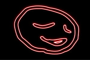 lI@؂₳@TC@ʕ@́@t[c@Hו@CXg@lICg@d@LED@Cg@TC@neon@Ŕ@C~l[V@CeA@X܁@lITC