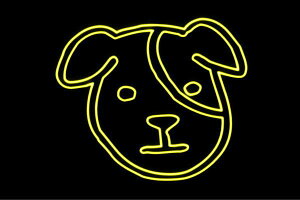 lI@tFCX3@@hbO@Ck@ʁ@q@@Aj}@lICg@d@LED@Cg@TC@neon@Ŕ@C~l[V@CeA@X܁@lITC@A