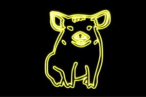 lI@q؂Ԃ@u^@؁@Ԃ@sbO@PIG@@Aj}@lICg@d@LED@Cg@TC@neon@Ŕ@C~l[V@CeA@X܁@lITC@A