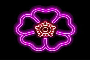 lI@t[2@ӂ[@ԁ@͂ȁ@ni@FLOWER@lICg@d@LED@Cg@TC@neon@Ŕ@C~l[V@CeA@X܁@lITC@AJG݁@