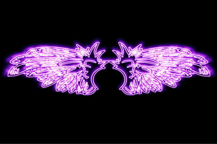 楽天市場 ネオン ウイング 23 羽 翼 はね つばさ Wing フェザー 天使 ネオンライト 電飾 Led ライト サイン Neon 看板 イルミネーション インテリア 店舗 ネオンサイン アメリカン雑貨 おしゃれ 楽天市場 ネオン ウイング 23 羽 翼 はね つばさ Wing フェザー 天使 ネオンライト 電飾 Led ライト サイン Neon 看板 イルミネーション インテリア 店舗 ネオンサイン アメリカン雑貨 おしゃれ
