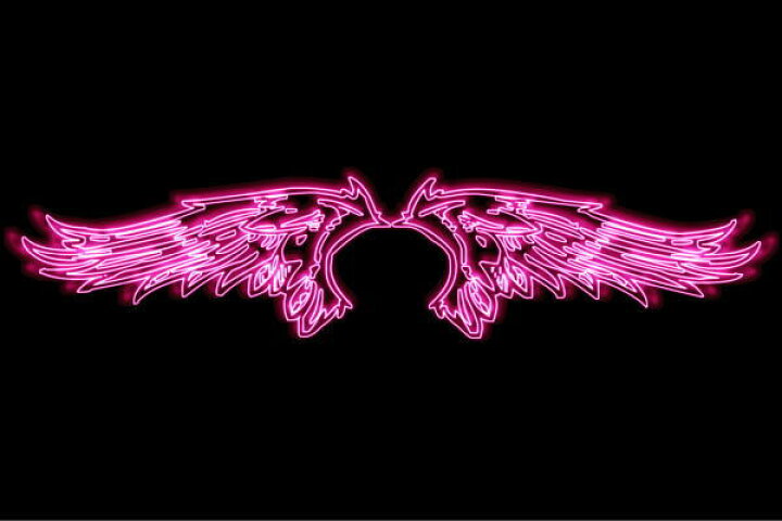 楽天市場 ネオン ウイング 27 羽 翼 はね つばさ Wing フェザー 天使 ネオンライト 電飾 Led ライト サイン Neon 看板 イルミネーション インテリア 店舗 ネオンサイン アメリカン雑貨 おしゃれ