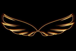 lI@ECO37@H@@͂ˁ@΂@WING@tFU[@Vg@lICg@d@LED@Cg@TC@neon@Ŕ@C~l[V@CeA@X܁@lITC@AJ