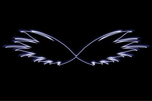 �l�I���@�E�C���O40�@�H�@���@�͂ˁ@�΂��@WING�@�t�F�U�[�@�V�g�@�l�I�����C�g�@�d���@LED�@���C�g�@�T�C���@neon�@�Ŕ@�C���~�l�[�V�����@�C���e���A�@�X�܁@�l�I���T�C���@�A�����J