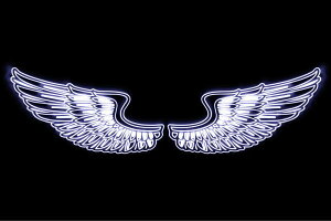 lI@ECO50@H@@͂ˁ@΂@WING@tFU[@Vg@lICg@d@LED@Cg@TC@neon@Ŕ@C~l[V@CeA@X܁@lITC@AJ