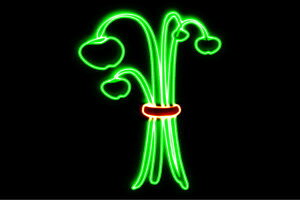 lI@13@APPLE@S@ь@Abv@ʕ@t[c@́@BAR@o[@lICg@d@LED@Cg@TC@neon@Ŕ@C~l[V@CeA@X܁@