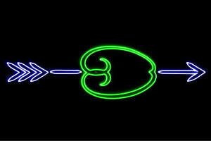 lI@񂲂Ɩ2@@APPLE@S@ь@Abv@ʕ@t[c@́@BAR@o[@lICg@d@LED@Cg@TC@neon@Ŕ@C~l[V@CeA@