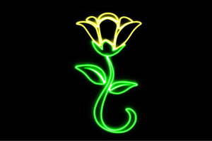 lI@ԑ@ӂ[@t[@͂ȁ@ni@FLOWER@ԁ@lICg@d@LED@Cg@TC@neon@Ŕ@C~l[V@CeA@X܁@lITC@AJ