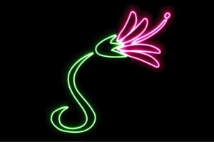 lI@2@@ӂ[@t[@͂ȁ@ni@FLOWER@ԁ@lICg@d@LED@Cg@TC@neon@Ŕ@C~l[V@CeA@X܁@lITC@A