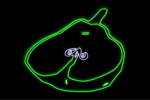 lI@tX2@m@miV@ʕ@t[c@́@A@BAR@o[@lICg@d@LED@Cg@TC@neon@Ŕ@C~l[V@CeA@X܁@lI