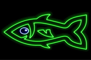 lI@6@@tBbV@ȁ@TJi@FISH@C@݁@lICg@d@LED@Cg@TC@neon@Ŕ@C~l[V@CeA@X܁@lITC@AJ