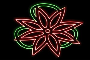 lI@4@Ɩ@ӂ[@t[@͂ȁ@ni@FLOWER@ԁ@lICg@d@LED@Cg@TC@neon@Ŕ@C~l[V@CeA@X܁@lITC@A