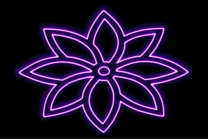 lI@9@Ɩ@ӂ[@t[@͂ȁ@ni@FLOWER@ԁ@lICg@d@LED@Cg@TC@neon@Ŕ@C~l[V@CeA@X܁@lITC@A