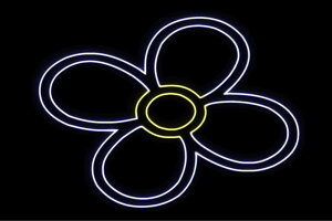 lI@10@ӂ[@t[@͂ȁ@ni@FLOWER@ԁ@lICg@d@LED@Cg@TC@neon@Ŕ@C~l[V@CeA@X܁@lITC@AJG