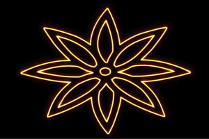 lI@22@ӂ[@t[@͂ȁ@ni@FLOWER@ԁ@lICg@d@LED@Cg@TC@neon@Ŕ@C~l[V@CeA@X܁@lITC@AJG