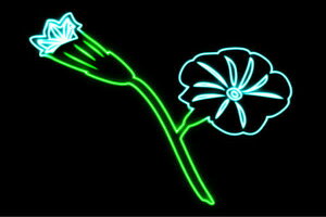 lI@26@ӂ[@t[@͂ȁ@ni@FLOWER@ԁ@lICg@d@LED@Cg@TC@neon@Ŕ@C~l[V@CeA@X܁@lITC@AJG