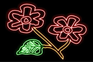 lI@27@ӂ[@t[@͂ȁ@ni@FLOWER@ԁ@lICg@d@LED@Cg@TC@neon@Ŕ@C~l[V@CeA@X܁@lITC@AJG