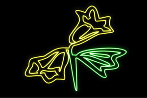 �l�I���@��29�@�ӂ��[�@�t�����[�@�͂ȁ@�n�i�@FLOWER�@���ԁ@�l�I�����C�g�@�d���@LED�@���C�g�@�T�C���@neon�@�Ŕ@�C���~�l�[�V�����@�C���e���A�@�X�܁@�l�I���T�C���@�A�����J���G