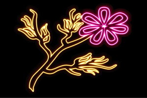 lI@30@ӂ[@t[@͂ȁ@ni@FLOWER@ԁ@lICg@d@LED@Cg@TC@neon@Ŕ@C~l[V@CeA@X܁@lITC@AJG