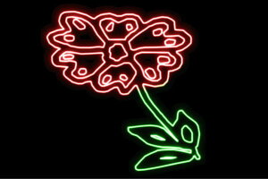 lI@32@ӂ[@t[@͂ȁ@ni@FLOWER@ԁ@lICg@d@LED@Cg@TC@neon@Ŕ@C~l[V@CeA@X܁@lITC@AJG